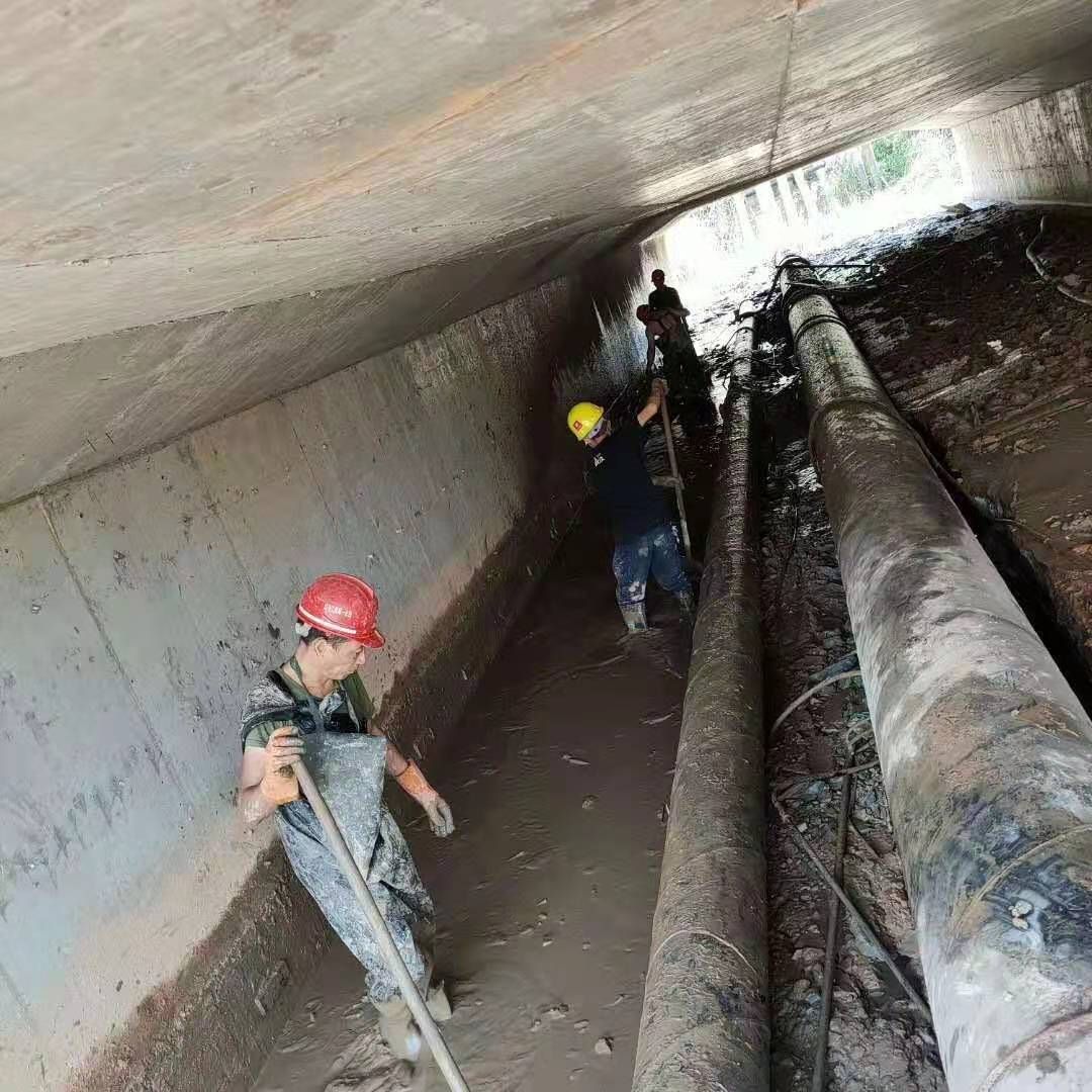 虎门港管委会工业管道清淤